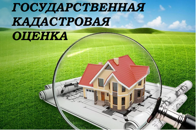 В 2026 году на территории Алтайского края будет проведена государственная кадастровая оценка.