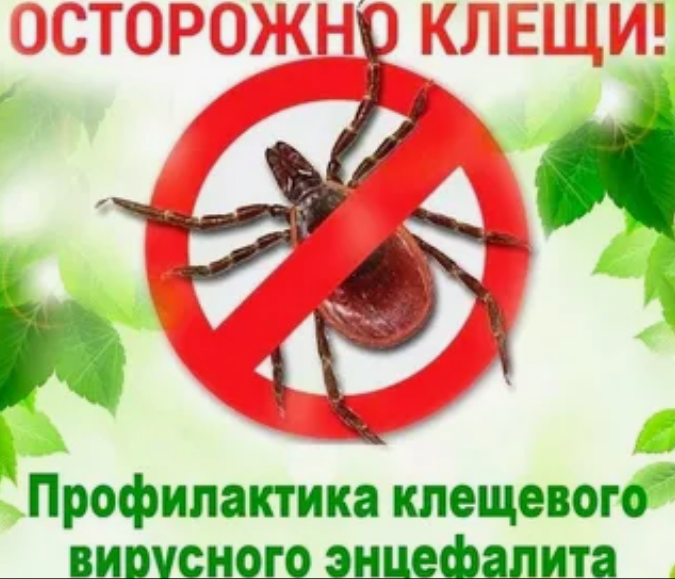 Профилактика клещевого энцефалита.