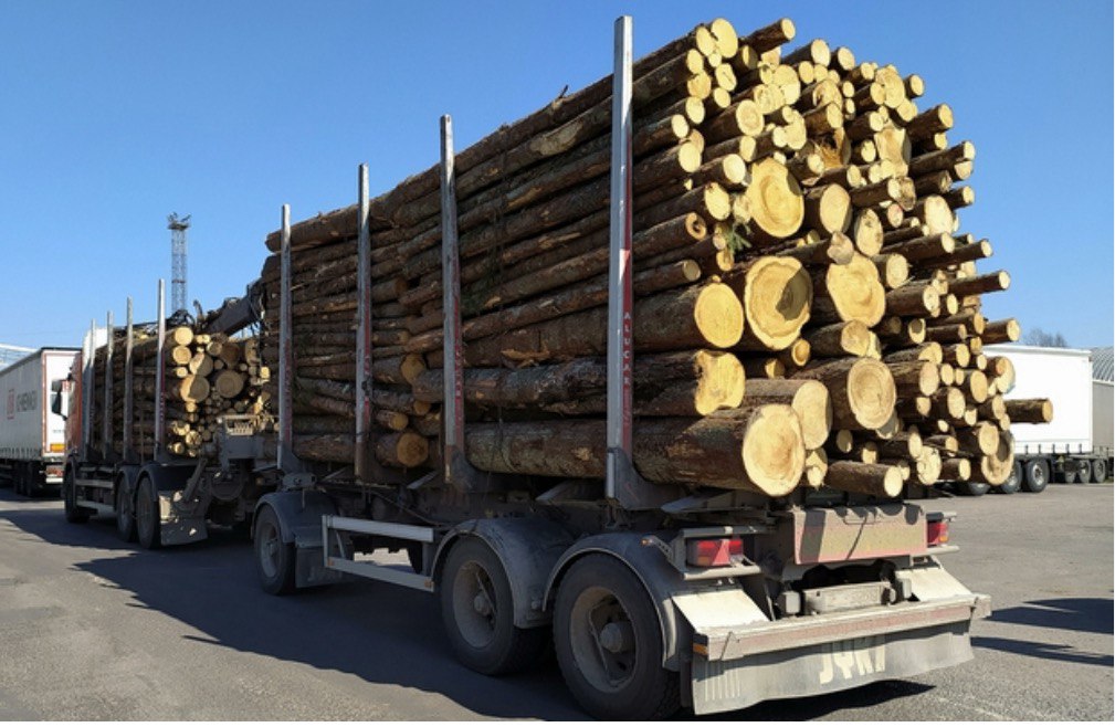 Рубцовский транспортный прокурор утвердил обвинительное заключение в отношении местного жителя за контрабанду леса.