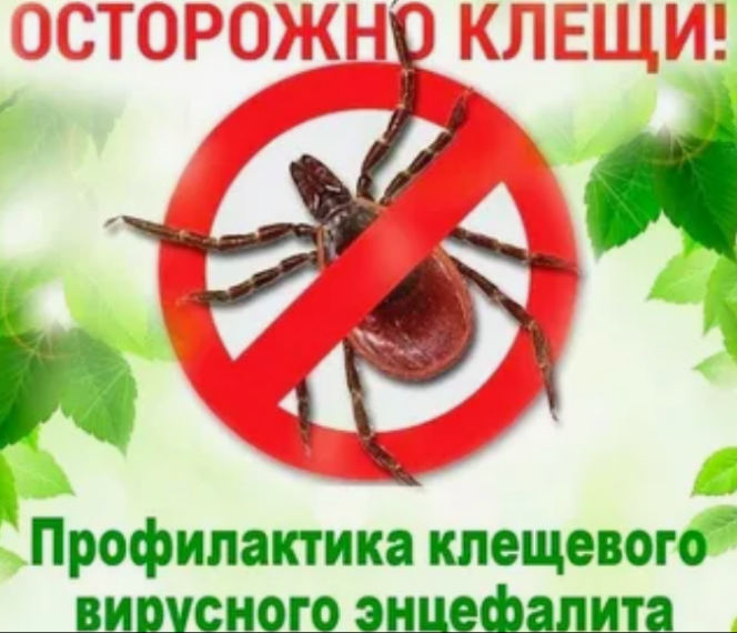 Профилактика клещевого энцефалита. Профилактика клещевого энцефалита.