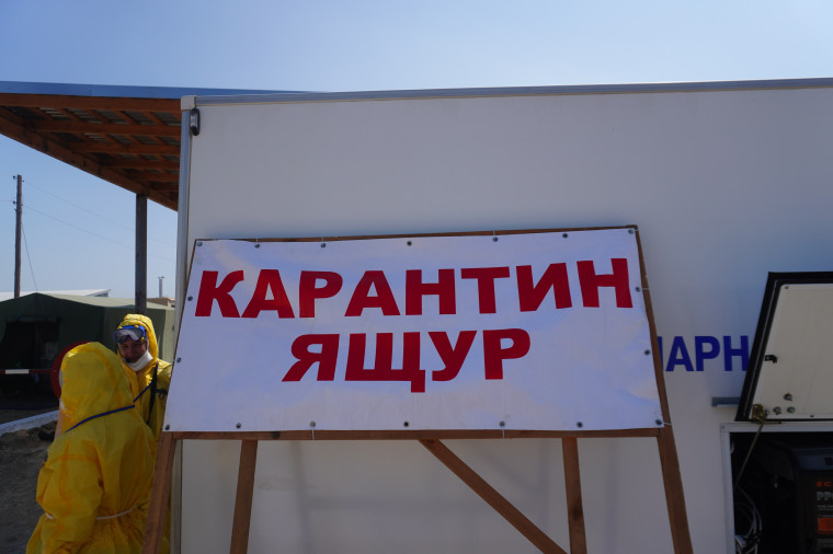 Противоэпизоотические учения в Локтевском районе. Противоэпизоотические учения в Локтевском районе.